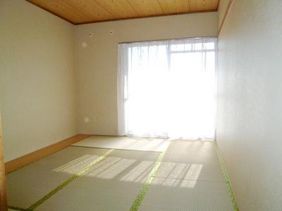 Living and room. Place of relief