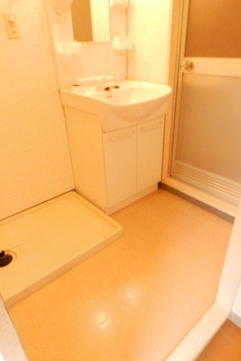 Washroom. Separate vanity Laundry Area