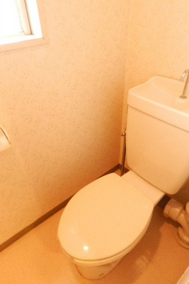 Toilet. Toilet