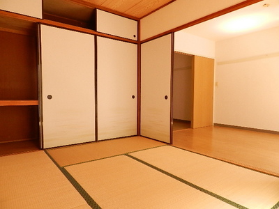 Living and room. closet