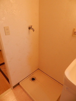 Washroom. Laundry Area