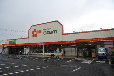 Supermarket. 80m to Ozamu (super)