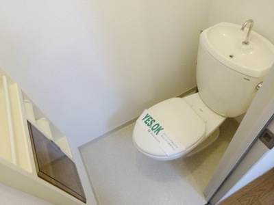 Toilet. Toilet with cleanliness