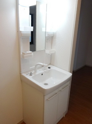 Washroom. Washbasin with shower