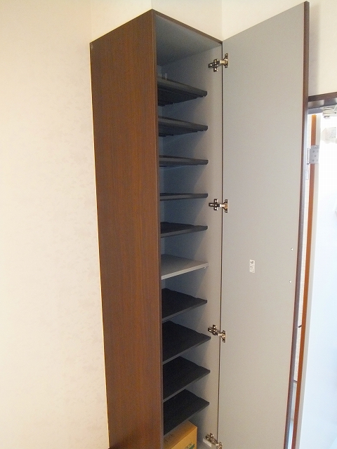 Entrance. Storage rich shoe box