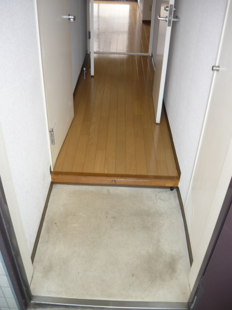 Entrance. Hallway from the entrance