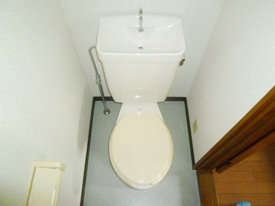 Toilet. Toilet