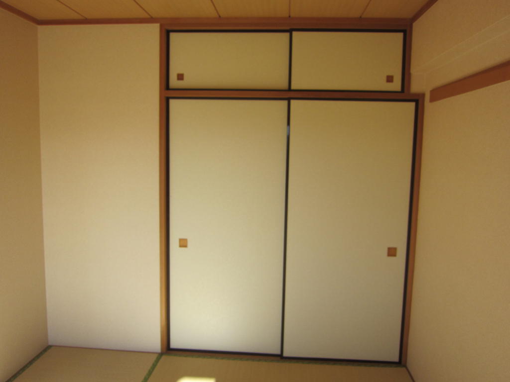 Other room space. Also convenient closet with upper closet