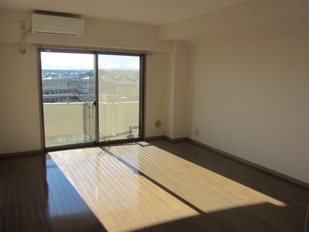 Living and room. Sunny large living