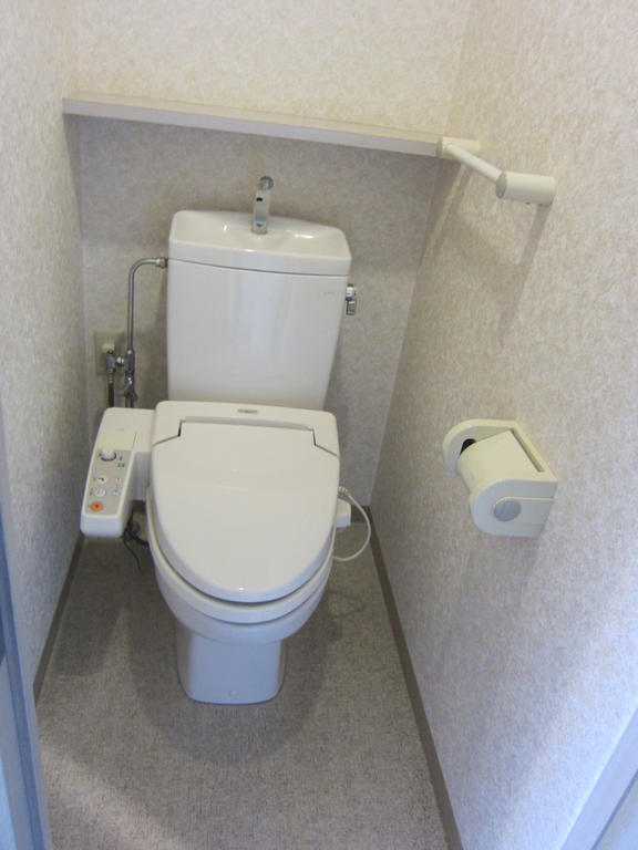 Toilet. Washlet toilet