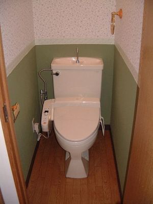 Toilet. Bidet