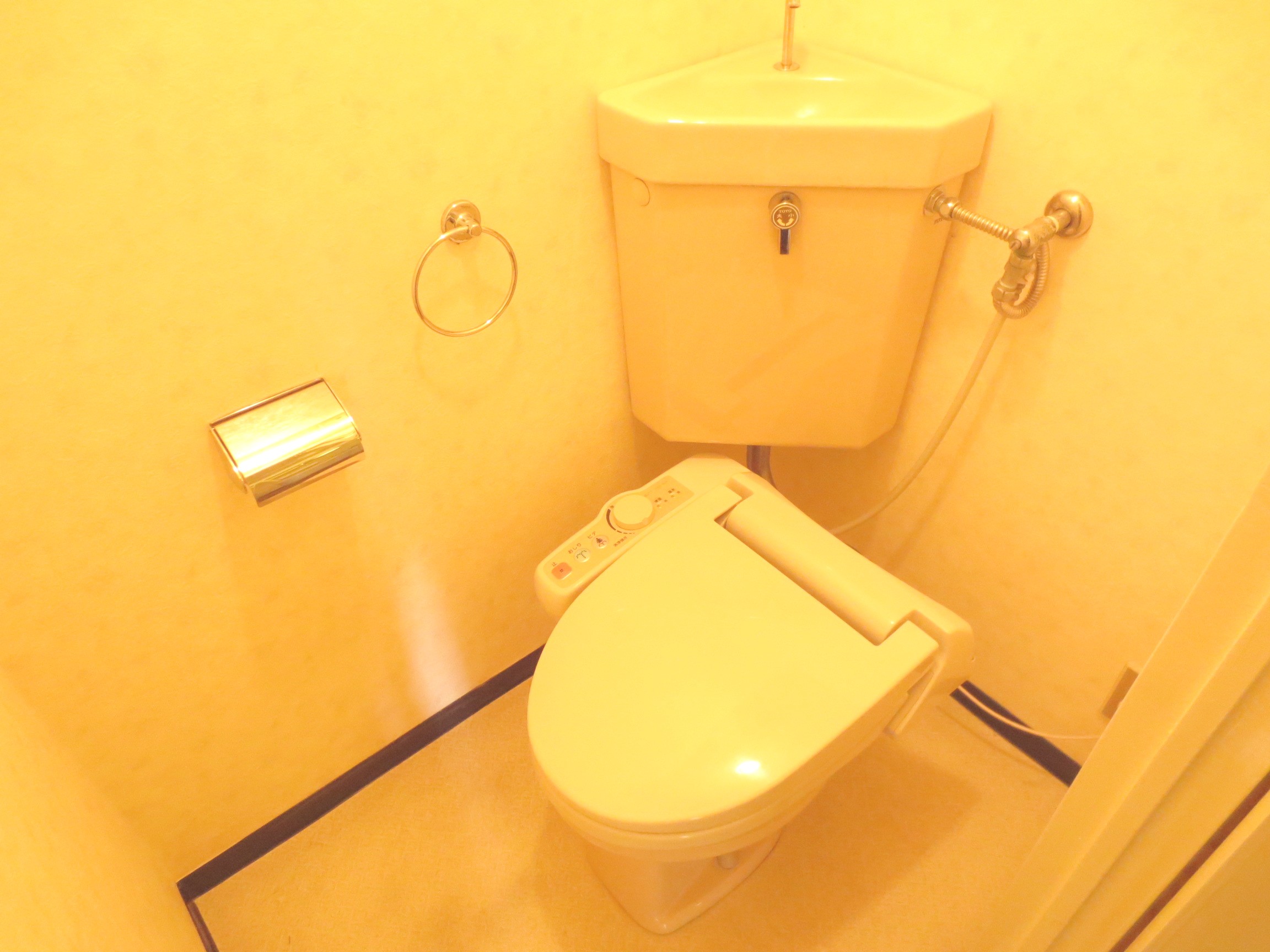 Toilet