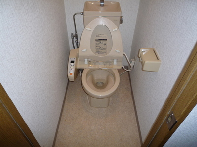 Toilet. Toilet
