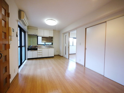 Living and room. Bright living room