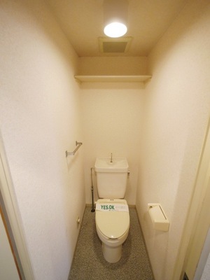 Toilet. Toilet