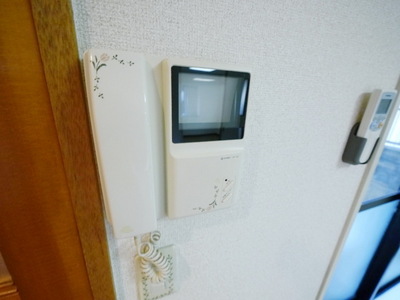 Security. TV Monitahon