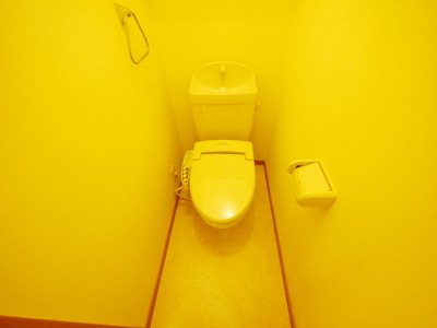 Toilet. Bathroom