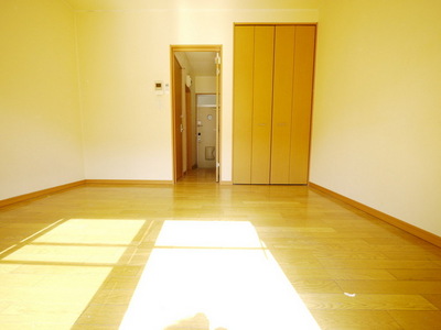 Living and room. Western style room