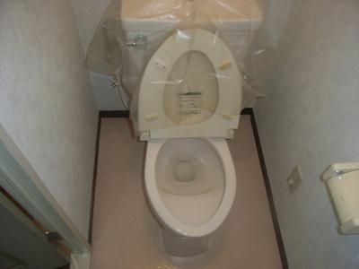 Toilet. Toilet with cleanliness