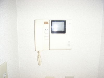Security. Intercom with TV monitor