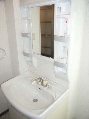 Washroom. Convenient independent wash basin