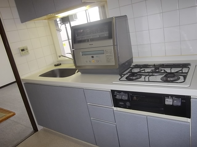 Kitchen. Face-to-face kitchen