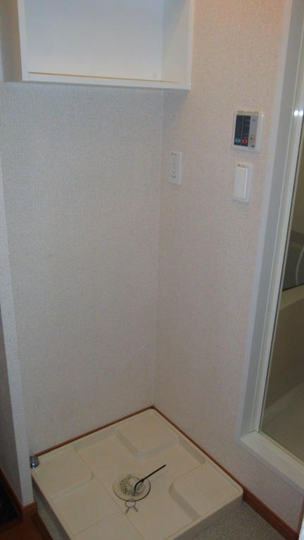 Washroom. Laundry Area, Shelved that put such as detergent
