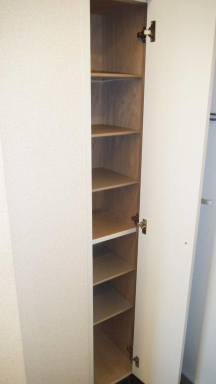 Entrance. Shoe box