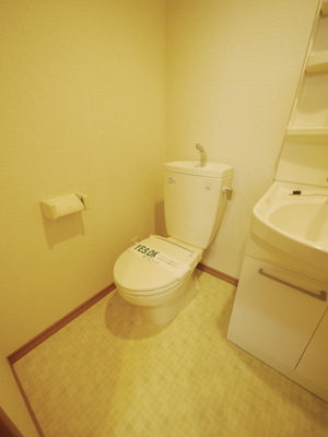 Toilet. Powder Room