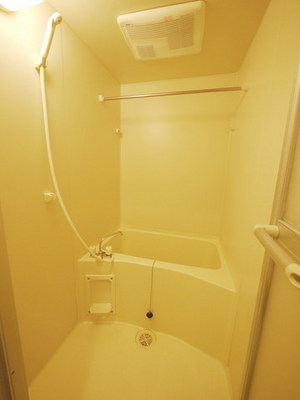 Bath. With bathroom dryer