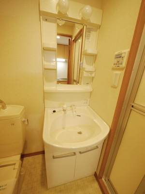 Washroom. Bathroom Vanity