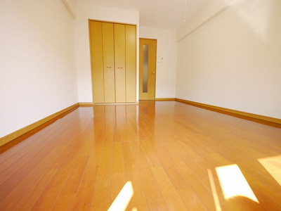 Living and room. Bright living room