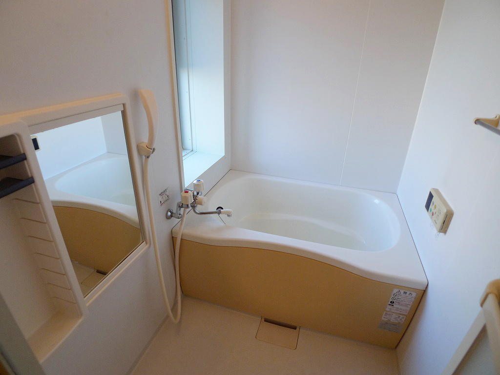 Bath. Bright bathroom