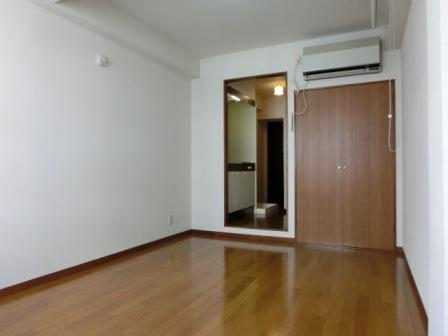 Other room space. State of Western-style from a different angle.