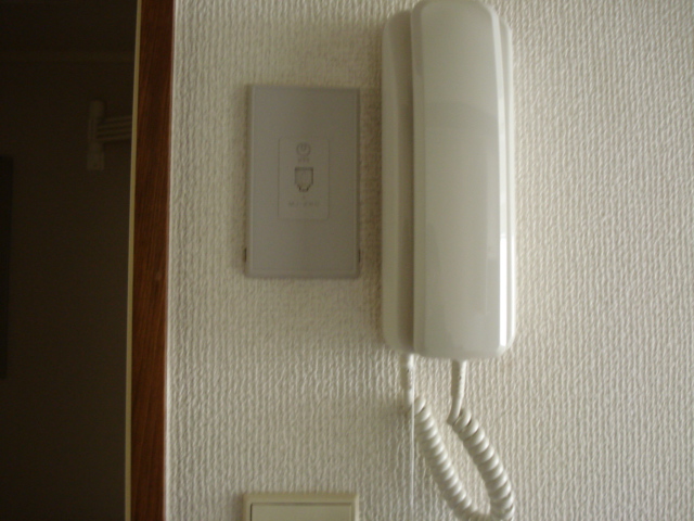 Other. Peace of mind even when the visitors with intercom.