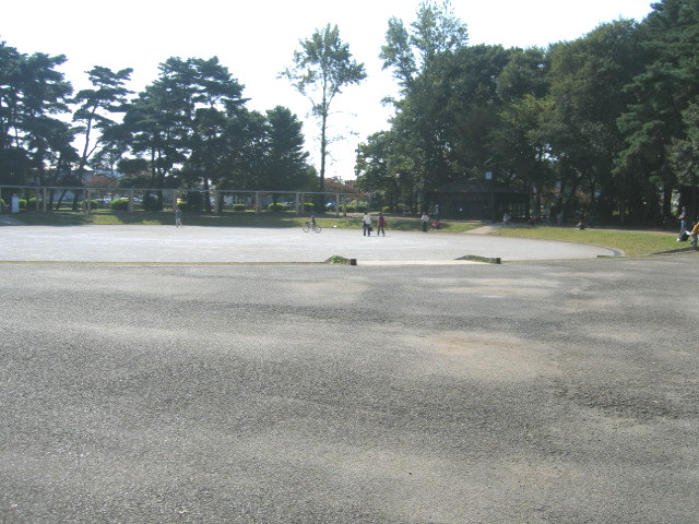 park. 640m to Central Park (park)
