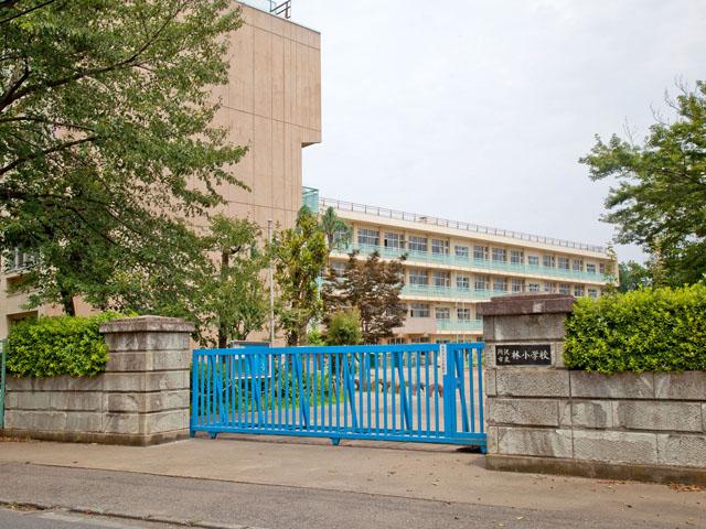 Primary school. 600m until Lin Elementary School