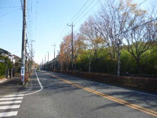 Local land photo. Matsugaoka Chuo-dori