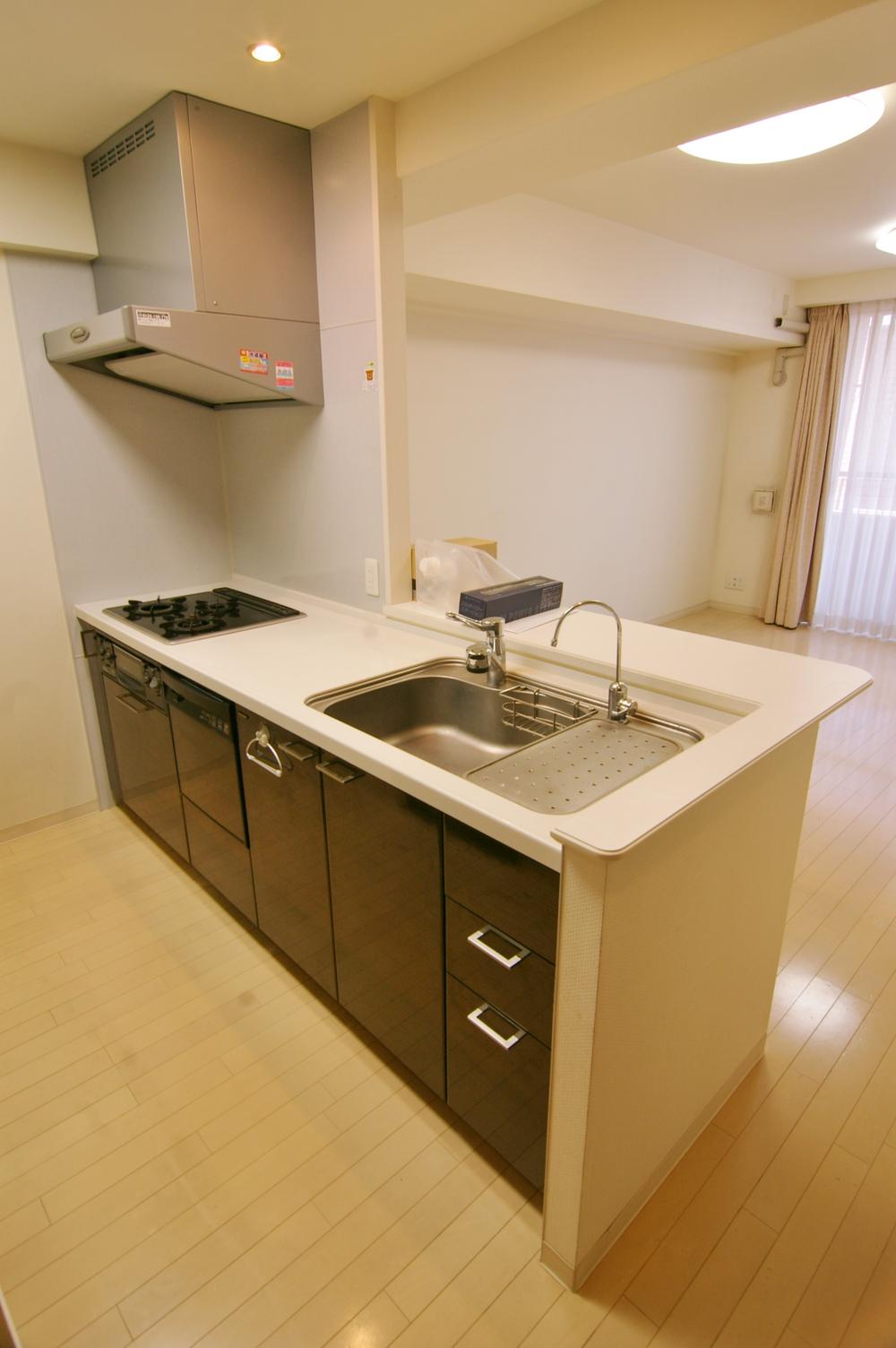 Kitchen. Local (12 May 2013) Shooting Disposer ・ water filter ・ Dish washing dryer