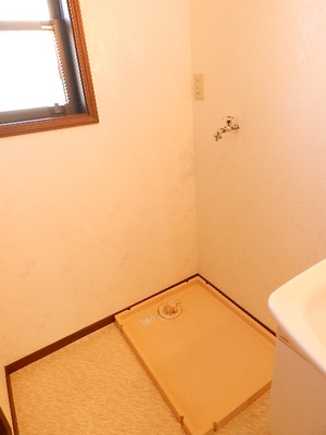 Washroom. Washing machine in the room