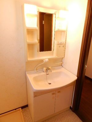 Washroom. Shampoo dresser