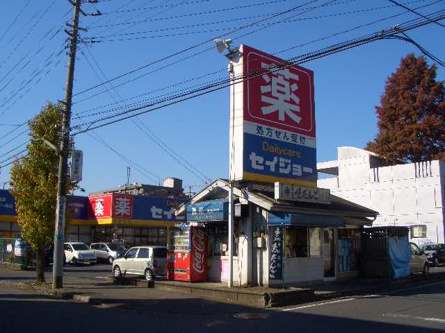 Dorakkusutoa. Daily care Seijo pharmacy Tokorozawa center shop 247m until (drugstore)
