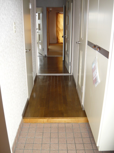 Entrance. Entrance and corridor