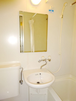 Washroom. Lavatory bowl