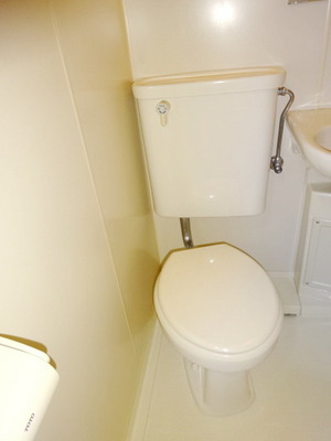 Toilet. Toilet