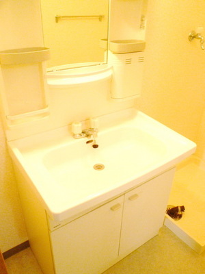 Washroom. Independent wash basin