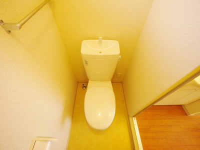 Toilet. Toilet with cleanliness