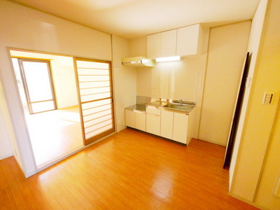 Living and room. A bright room
