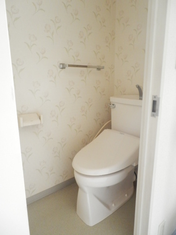 Toilet. Cleaning toilet seat is a performance warranty.