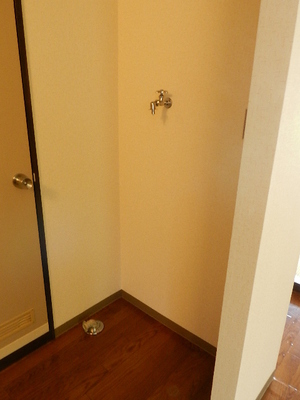 Washroom. Washing machine in the room